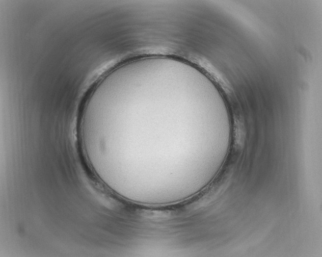 X0000115340486200911231436