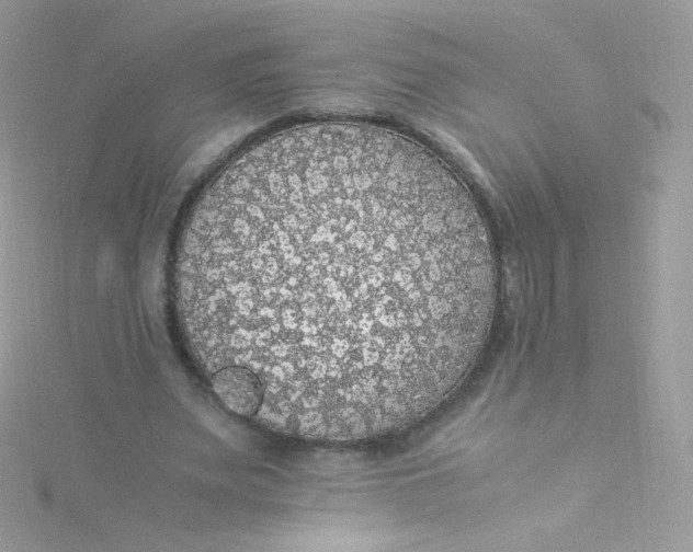 X0000115340487200911231436