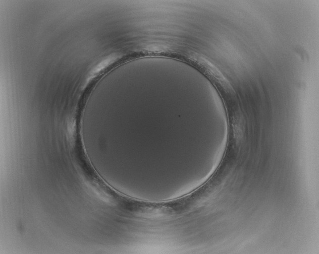 X0000115340488200911231436