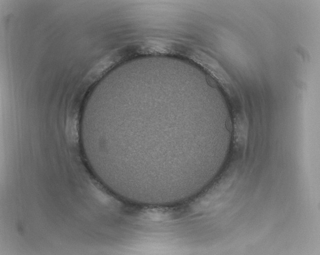 X0000115340489200911231436