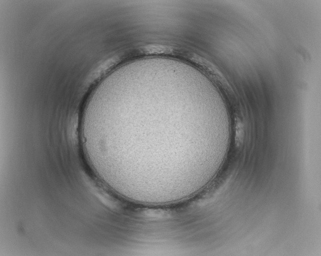 X0000115340490200911231436