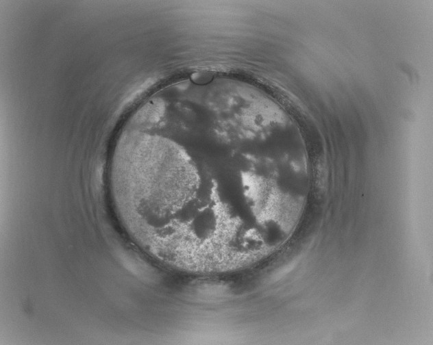 X0000115340491200911231436