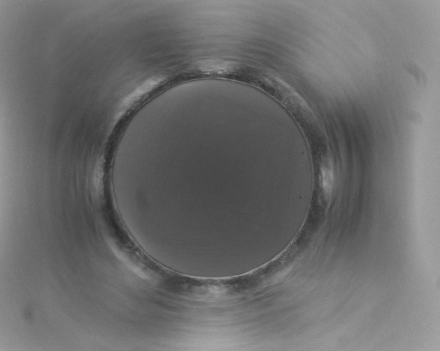 X0000115340492200911231436