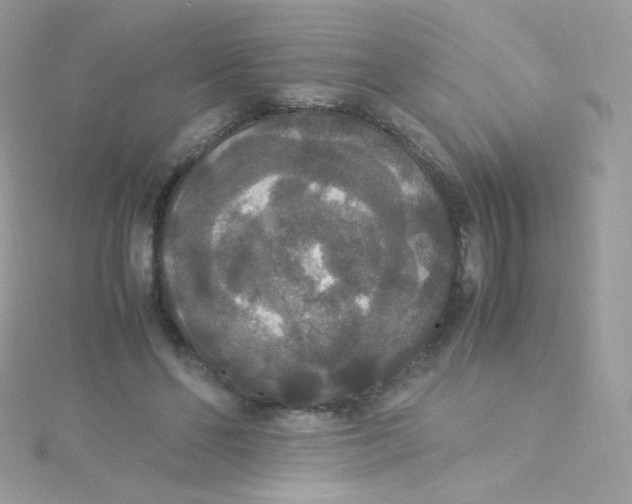 X0000115340494200911231436