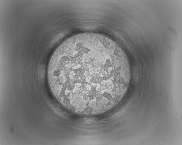 X0000115340495200911231436