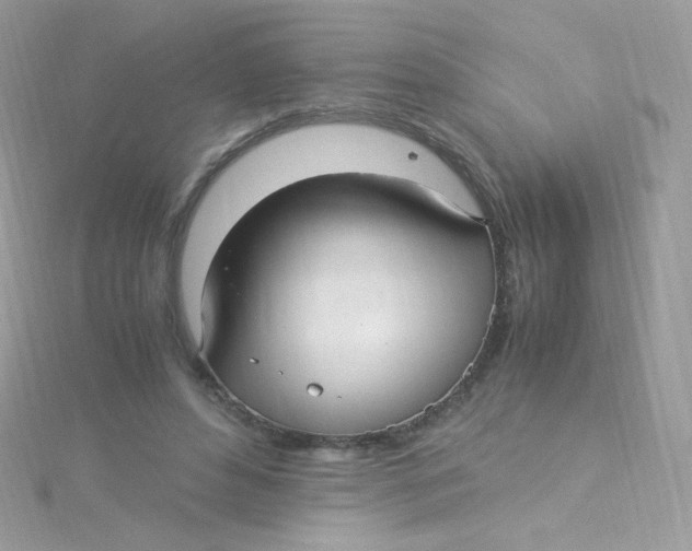 X0000115340496200911231436