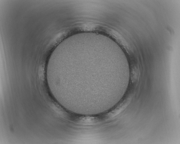 X0000115340497200911231436