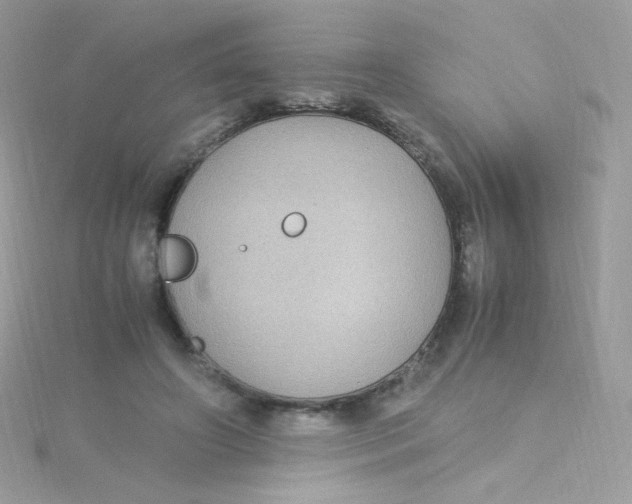 X0000115340498200911231435