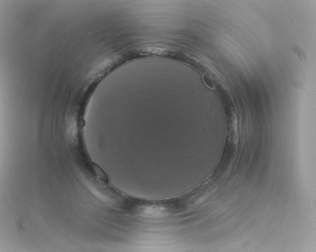 X0000115340500200911231435