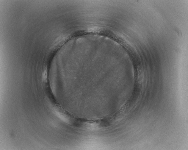 X0000115340502200911231435