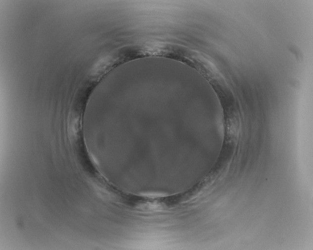 X0000115340503200911231435