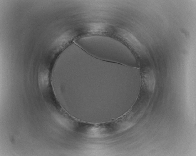 X0000115340504200911231435