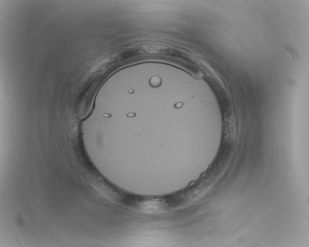 X0000115340505200911231435