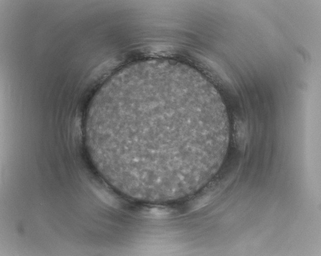 X0000115340506200911231435