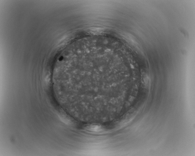 X0000115340507200911231435