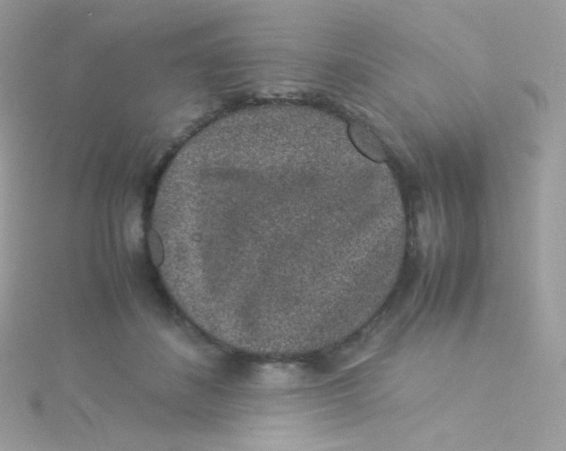 X0000115340508200911231435