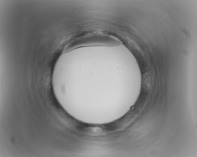 X0000115340509200911231435