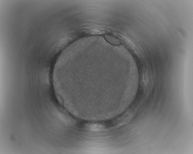 X0000115340512200911231435