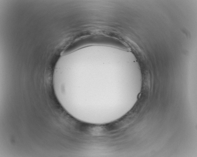 X0000115340513200911231435