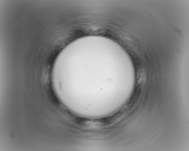 X0000115340515200911231435