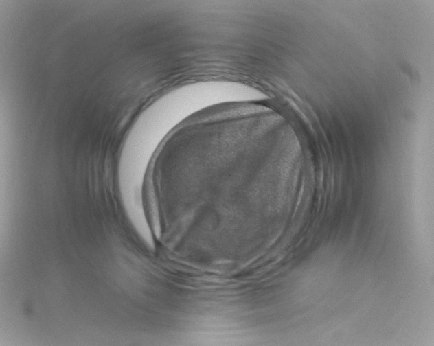 X0000115340516200911231435