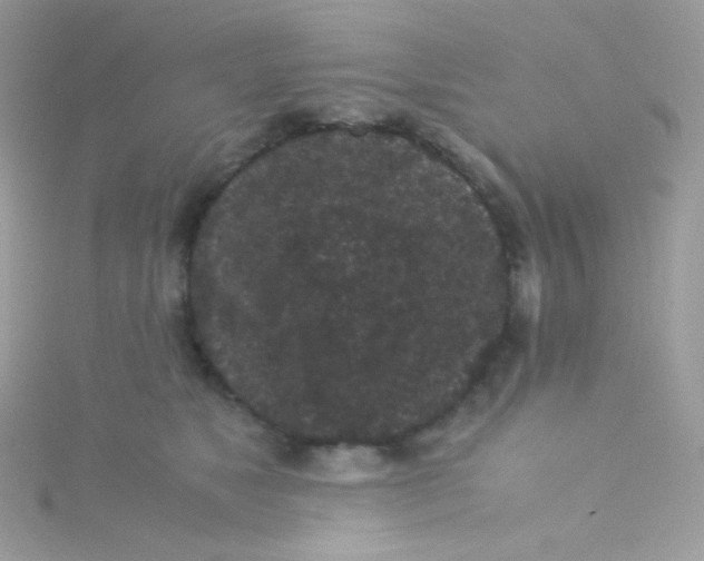 X0000115340517200911231435