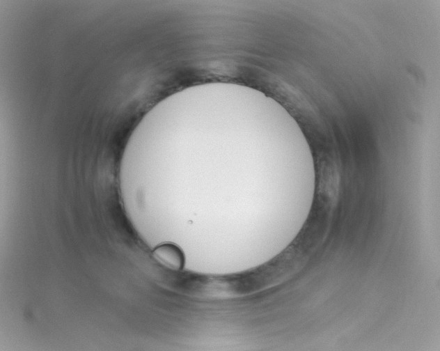 X0000115340518200911231435