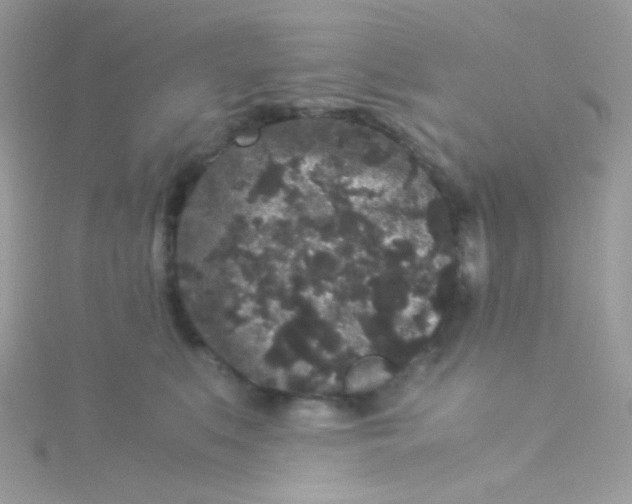 X0000115340519200911231435