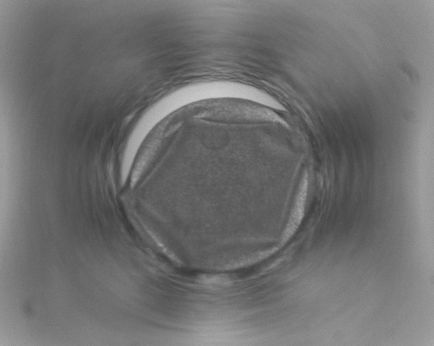 X0000115340520200911231435