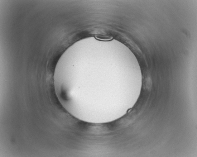 X0000115340521200911231435