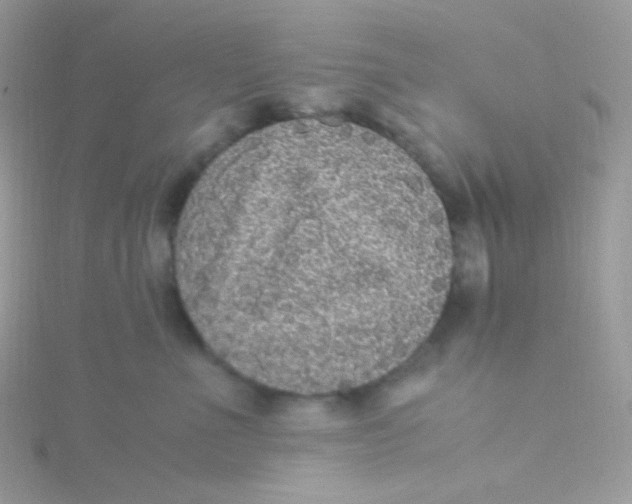 X0000115340523200911231435