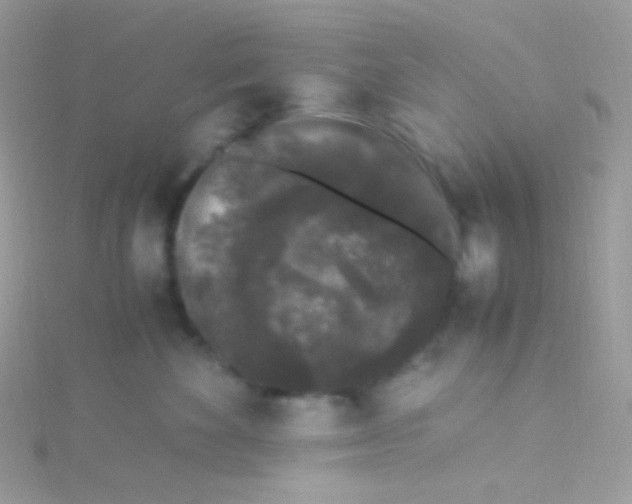 X0000115340524200911231435