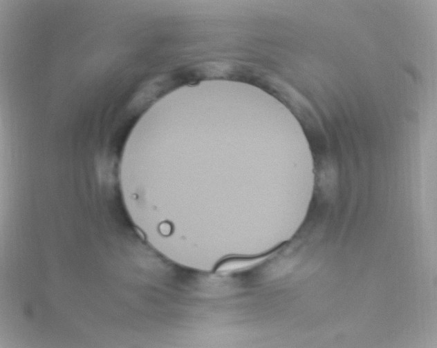 X0000115340525200911231435