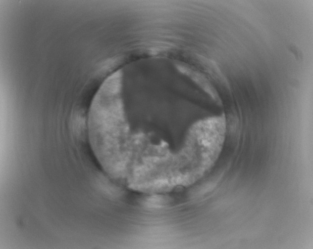 X0000115340527200911231435