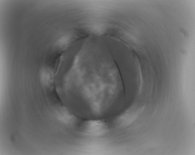 X0000115340528200911231435