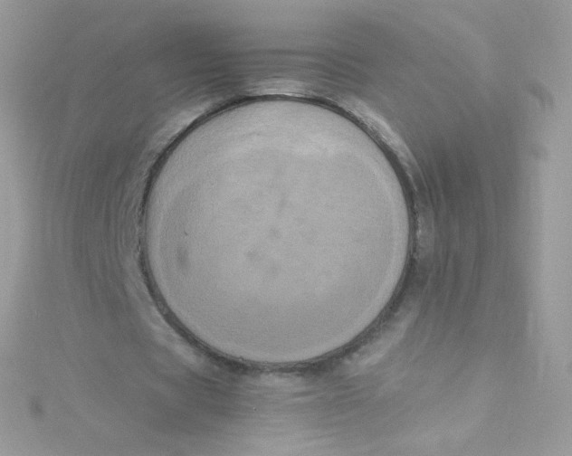 X0000115340529200911231434