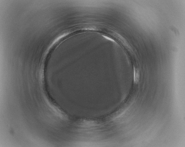 X0000115340531200911231434