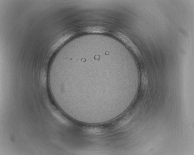 X0000115340533200911231434