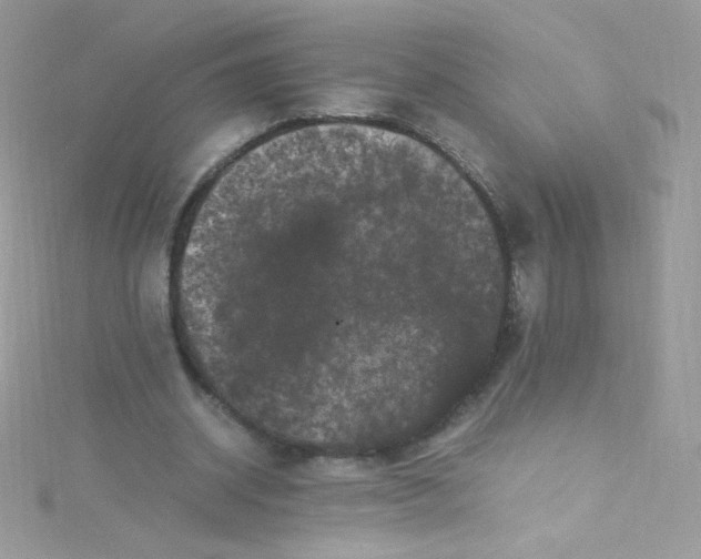 X0000115340534200911231434