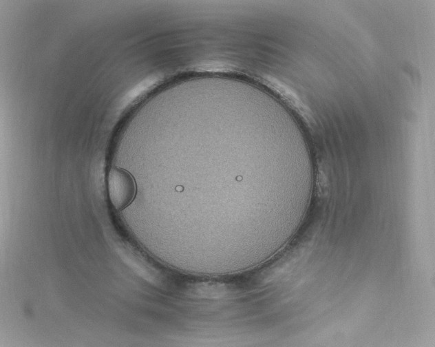 X0000115340535200911231434