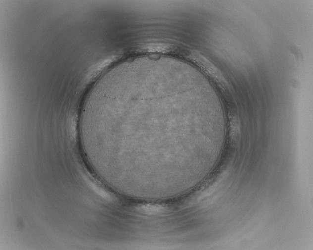 X0000115340537200911231434