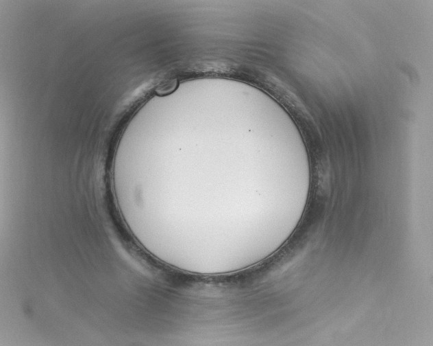 X0000115340538200911231434