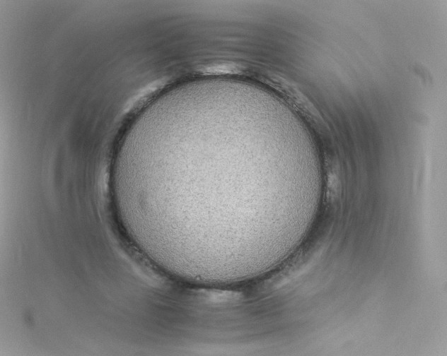 X0000115340539200911231434