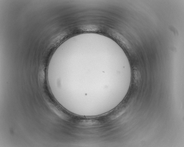 X0000115340541200911231434