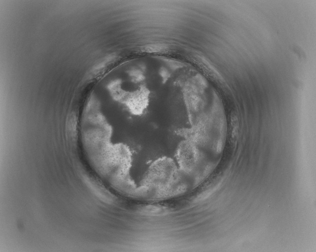 X0000115340542200911231434