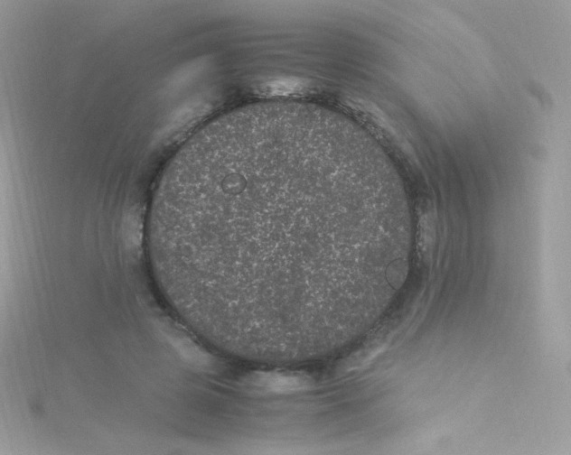 X0000115340545200911231435