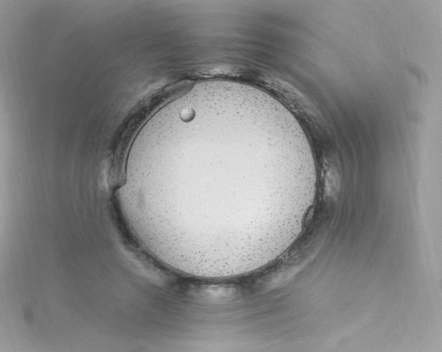 X0000115340546200911231435