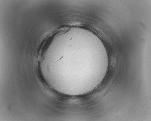 X0000115340547200911231435