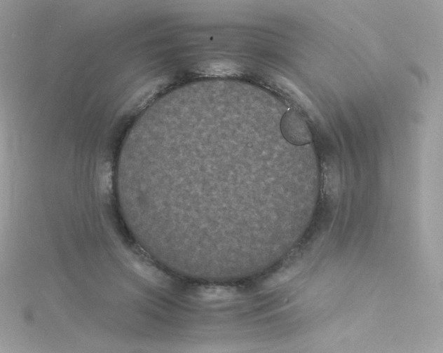 X0000115340549200911231435