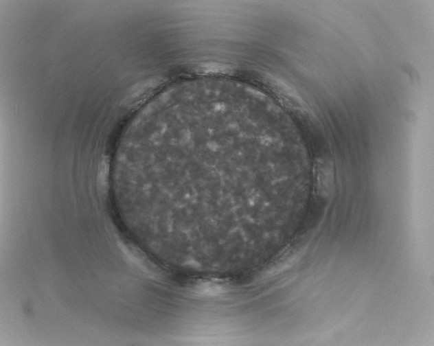 X0000115340550200911231435